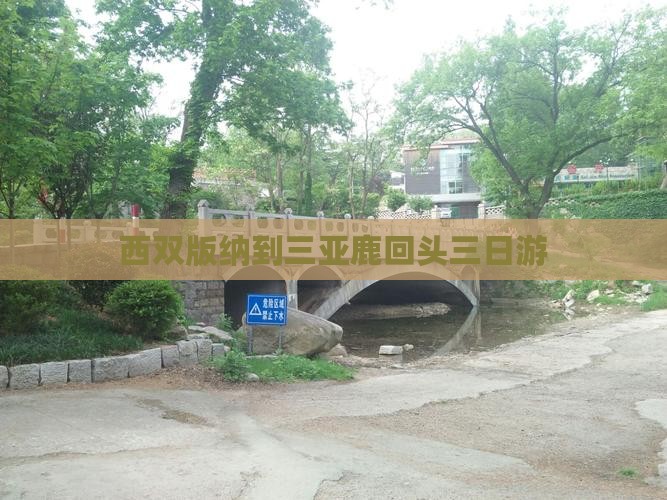 西双版纳到三亚鹿回头三日游