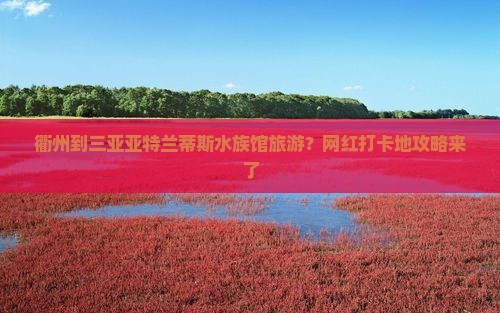 衢州到三亚亚特兰蒂斯水族馆旅游?网红打卡地攻略来了 衢州到三亚亚特兰蒂斯水族馆旅游?网红打卡地攻略来了