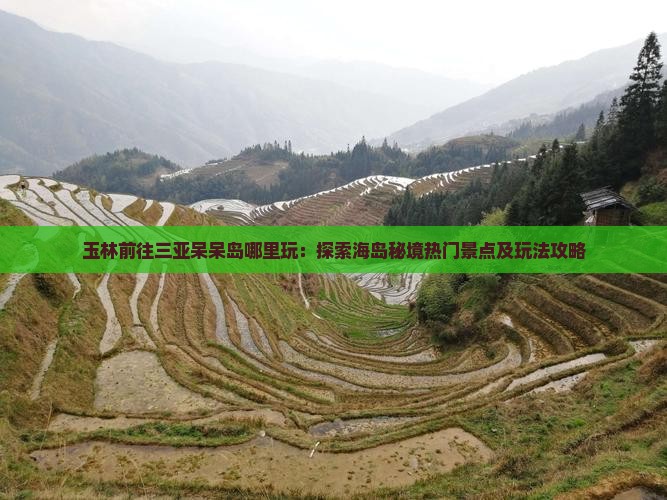 玉林前往三亚呆呆岛哪里玩:探索海岛秘境热门景点及玩法攻略 玉林前往三亚呆呆岛哪里玩:探索海岛秘境热门景点及玩法攻略