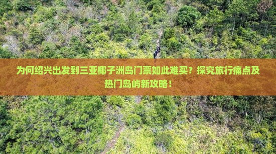 为何绍兴出发到三亚椰子洲岛门票如此难买？探究旅行痛点及热门岛屿新攻略！