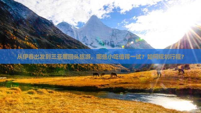从伊春出发到三亚鹿回头旅游，哪些小吃值得一试？如何规划行程？