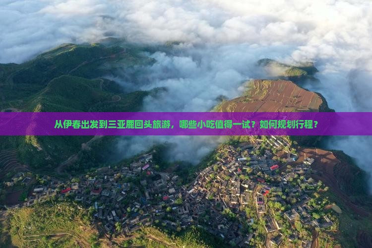 从伊春出发到三亚鹿回头旅游，哪些小吃值得一试？如何规划行程？