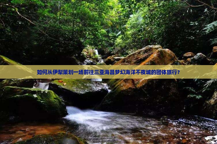 如何从伊犁策划一场前往三亚海昌梦幻海洋不夜城的团体旅行？