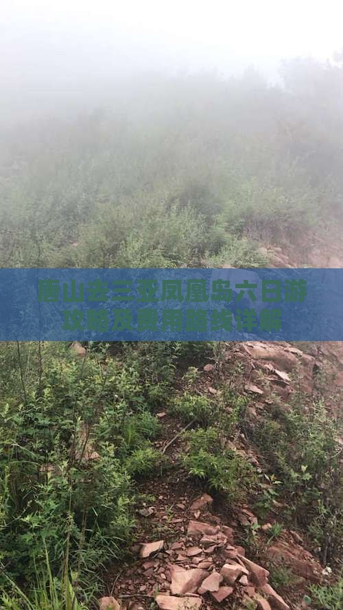 唐山去三亚凤凰岛六日游攻略及费用路线详解