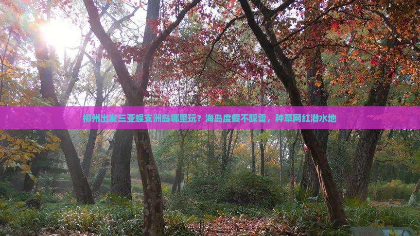 柳州出发三亚蜈支洲岛哪里玩？海岛度假不踩雷，种草网红潜水地