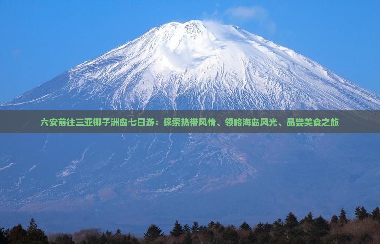六安前往三亚椰子洲岛七日游：探索热带风情、领略海岛风光、品尝美食之旅