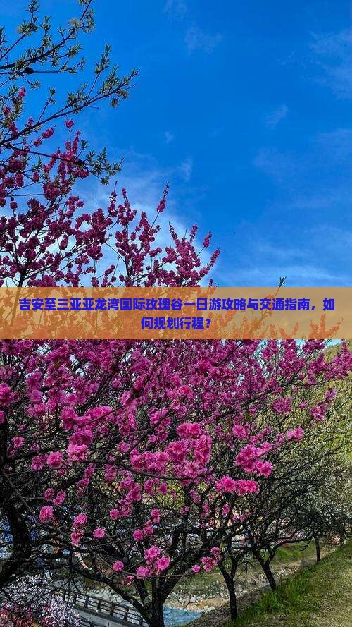 吉安至三亚亚龙湾国际玫瑰谷一日游攻略与交通指南，如何规划行程？