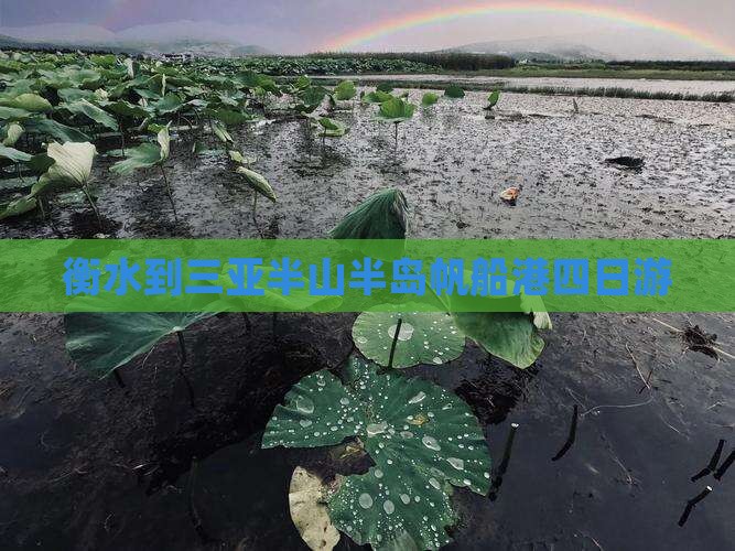 衡水到三亚半山半岛帆船港四日游