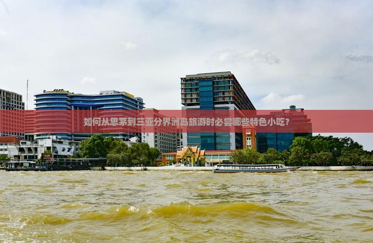 如何从思茅到三亚分界洲岛旅游时必尝哪些特色小吃？