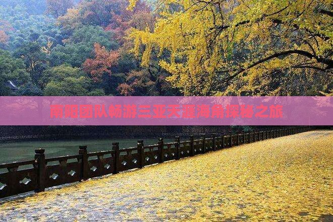 南阳团队畅游三亚天涯海角探秘之旅