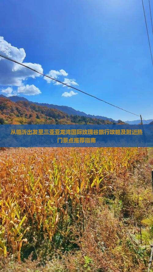 从临沂出发至三亚亚龙湾国际玫瑰谷旅行攻略及附近热门景点推荐指南