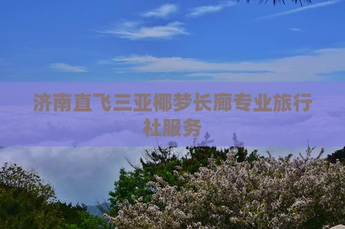 济南直飞三亚椰梦长廊专业旅行社服务