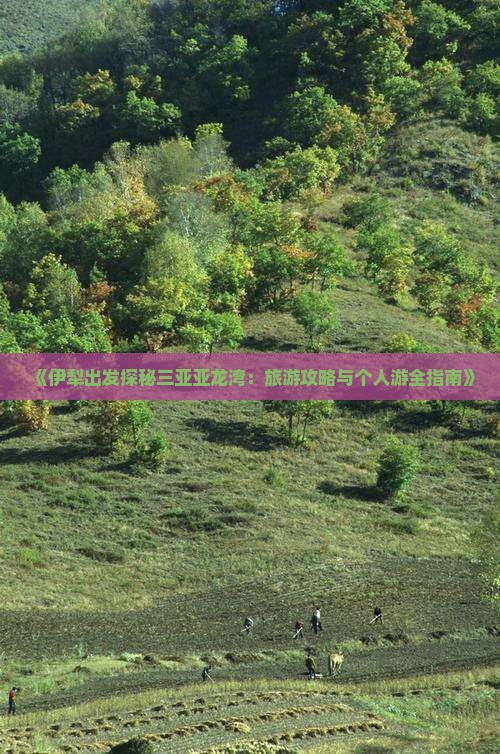 《伊犁出发探秘三亚亚龙湾：旅游攻略与个人游全指南》