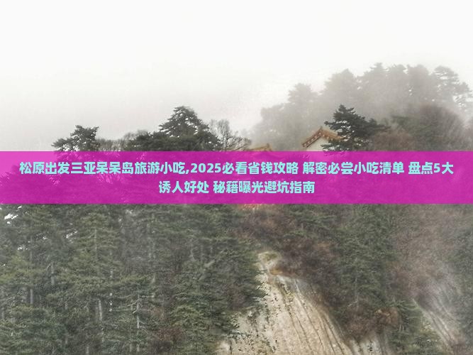 松原出发三亚呆呆岛旅游小吃