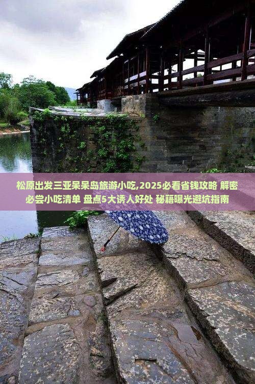 松原出发三亚呆呆岛旅游小吃
