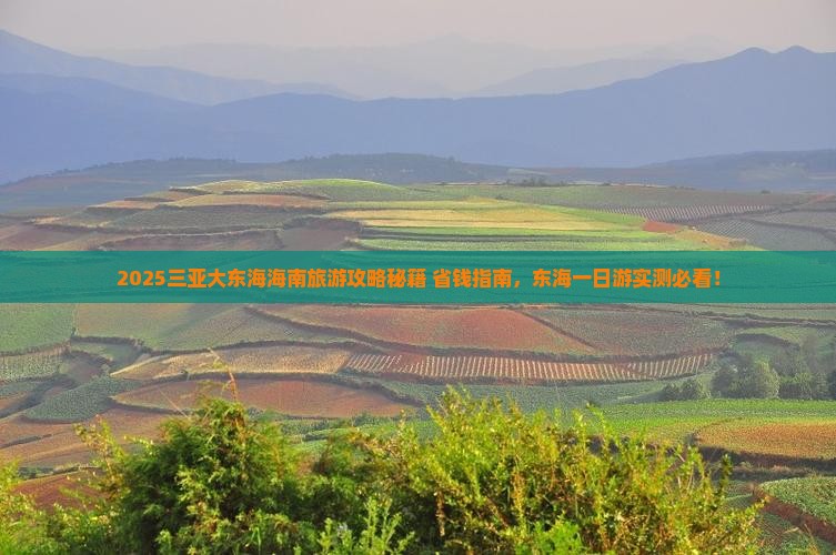 迪庆去三亚大东海一日游