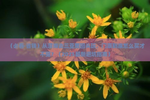 渭南去三亚鹿回头门票