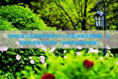 池州出发三亚海棠湾旅游