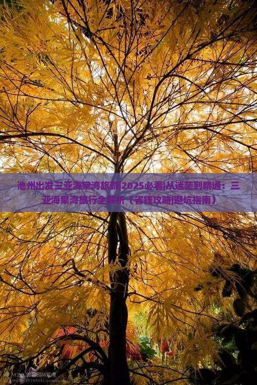 池州出发三亚海棠湾旅游