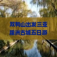 双鸭山出发三亚崖洲古城五日游