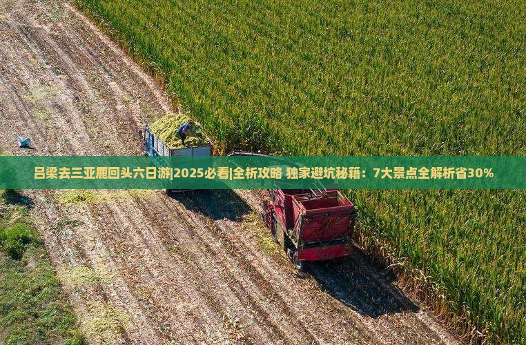 吕梁去三亚鹿回头六日游