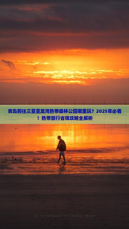青岛前往三亚亚龙湾热带森林公园哪里玩
