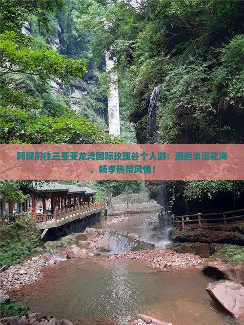 阿坝前往三亚亚龙湾国际玫瑰谷个人游