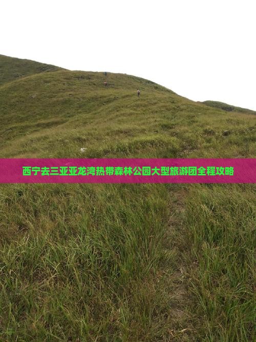 西宁去三亚亚龙湾热带森林公园大型旅游团