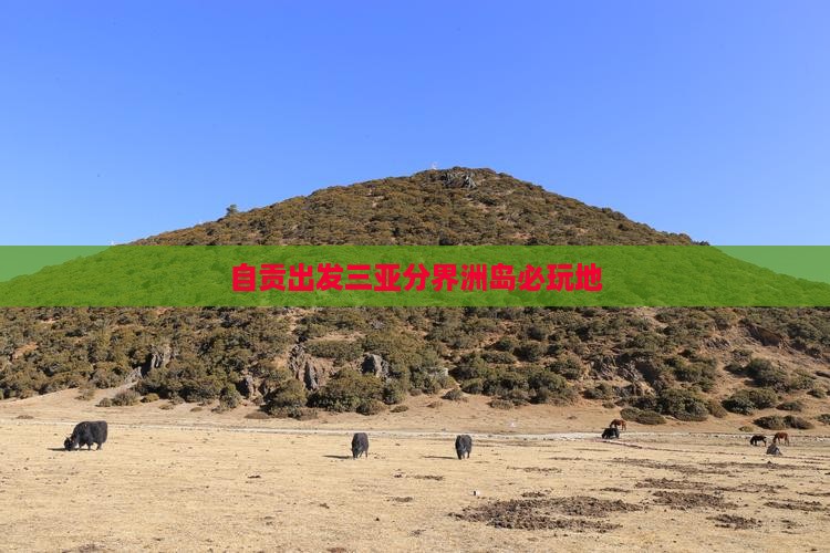 自贡出发三亚分界洲岛必玩地
