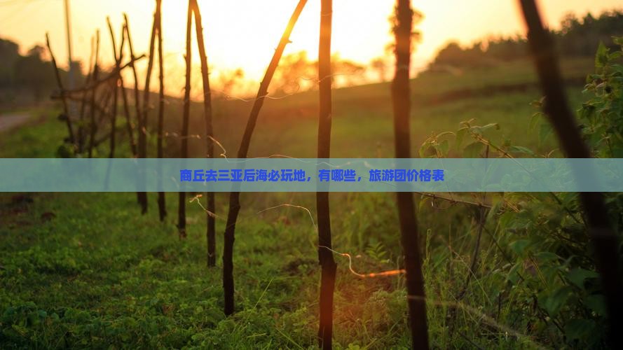 商丘去三亚后海必玩地