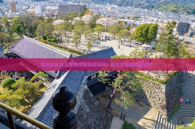 郑州去三亚南湾猴岛旅行社