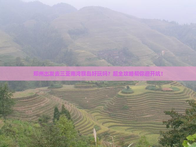 郑州去三亚南湾猴岛旅行社
