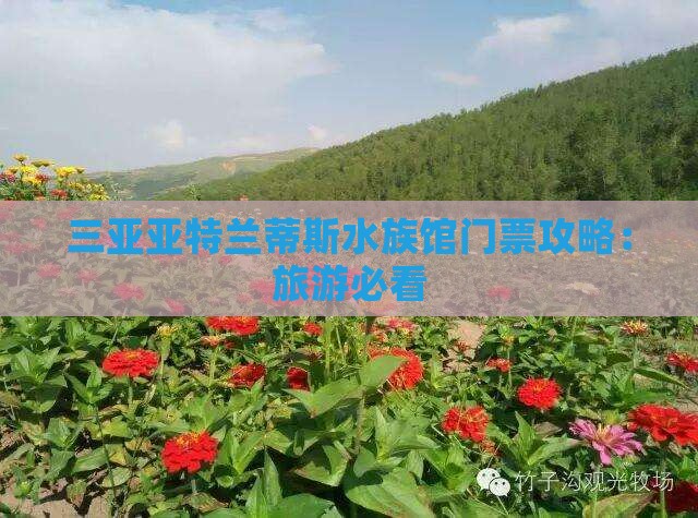 阿拉尔去三亚亚特兰蒂斯水族馆门票
