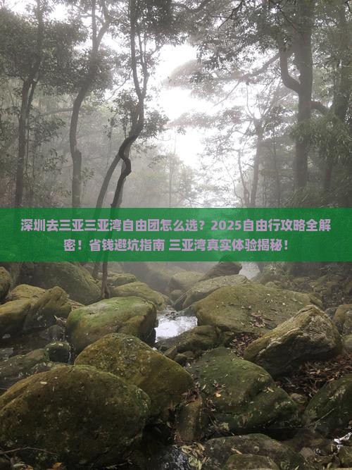 深圳去三亚三亚湾自由团
