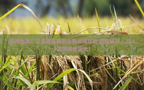 抚州去三亚西岛旅游