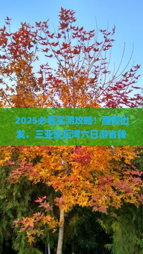 醴陵前往三亚皇后湾六日游