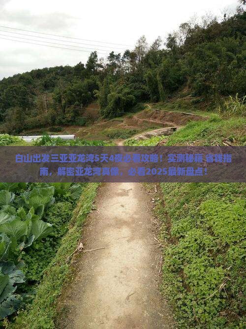 白山出发三亚亚龙湾必玩地