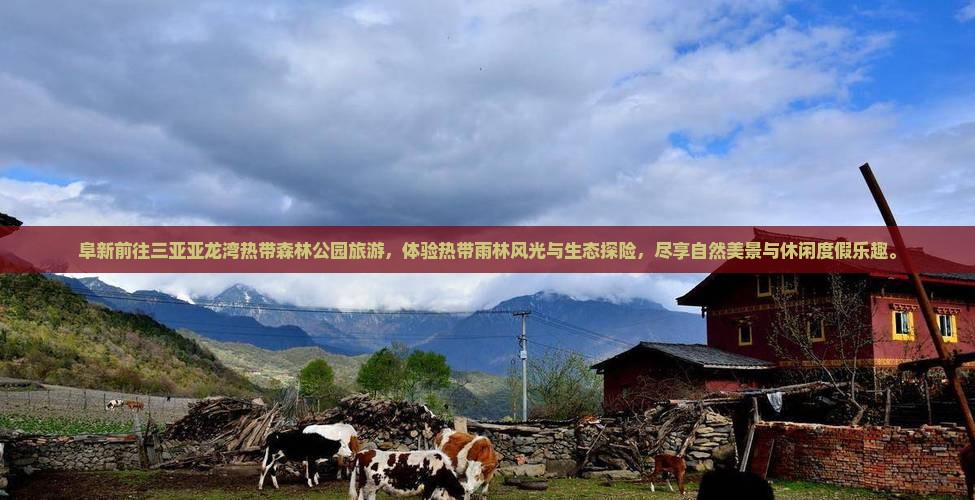 阜新前往三亚亚龙湾热带森林公园旅游