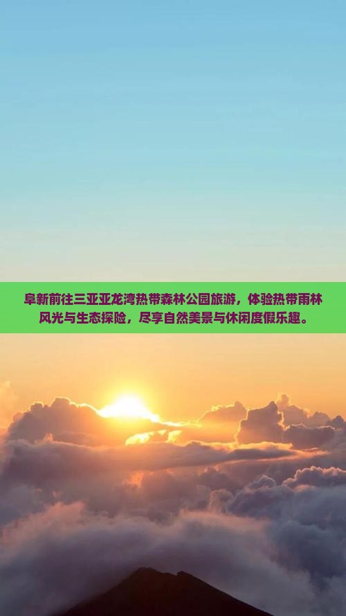 阜新前往三亚亚龙湾热带森林公园旅游