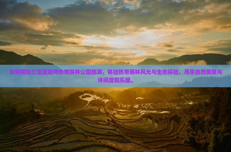 阜新前往三亚亚龙湾热带森林公园旅游
