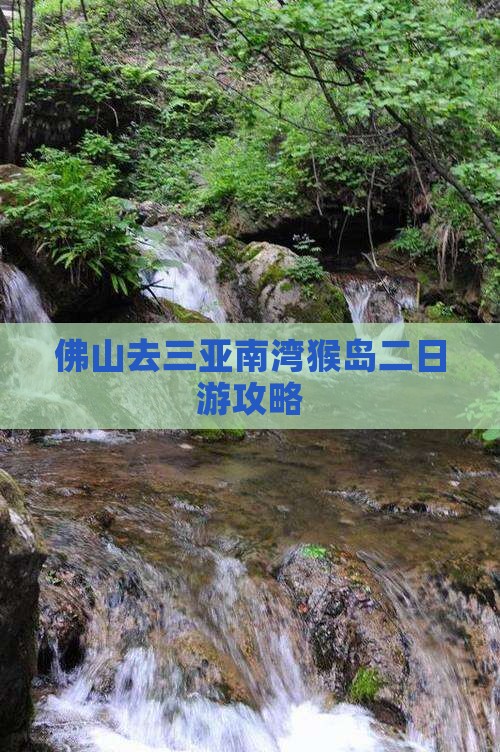 佛山去三亚南湾猴岛二日游