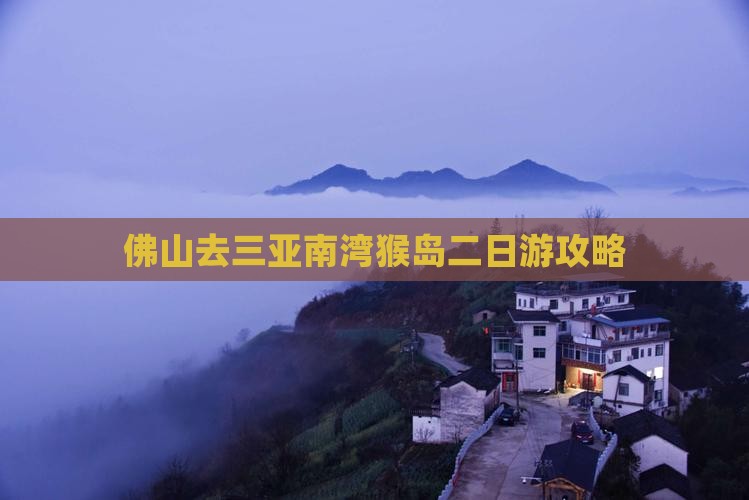 佛山去三亚南湾猴岛二日游