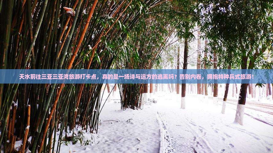 天水前往三亚三亚湾旅游打卡点