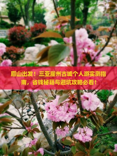 眉山去三亚崖洲古城个人游