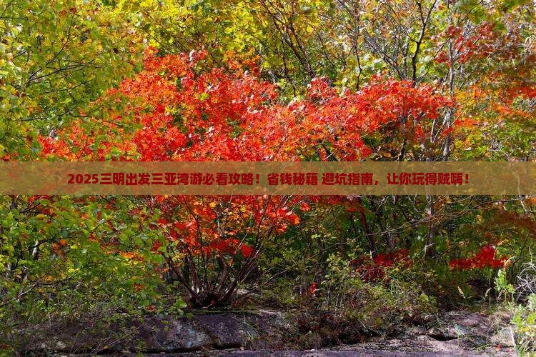 三明出发三亚三亚湾旅行社