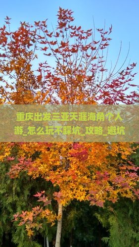 重庆出发三亚天涯海角个人游
