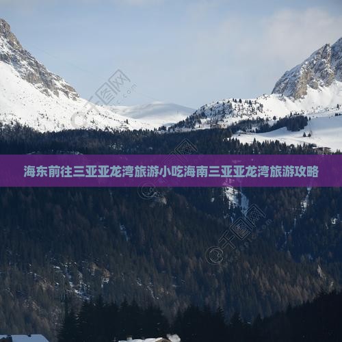 海东前往三亚亚龙湾旅游小吃