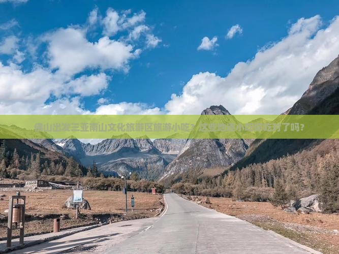 佛山出发三亚南山文化旅游区旅游小吃