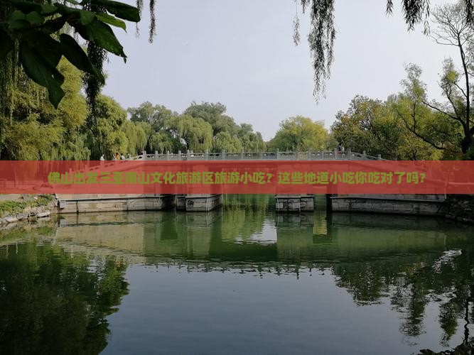佛山出发三亚南山文化旅游区旅游小吃