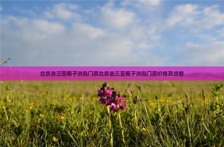 北京去三亚椰子洲岛门票